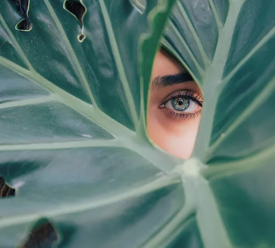 A close-up of a person's green eye peering through a gap in large tropical leaves in a nature setting.